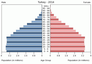 turkey-population-pyramid-2014